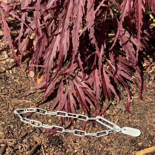 Chain 0021