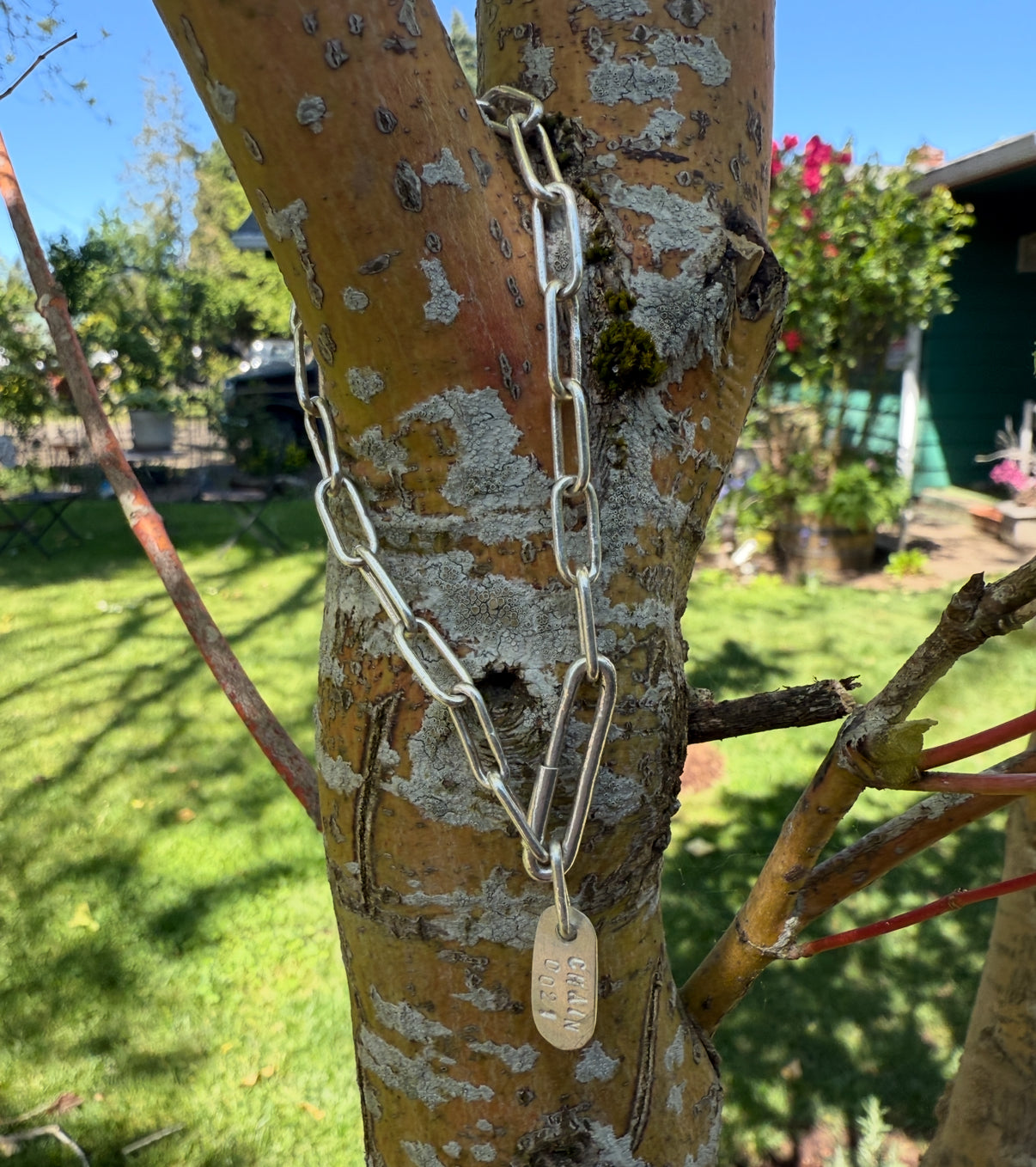 Chain 0021