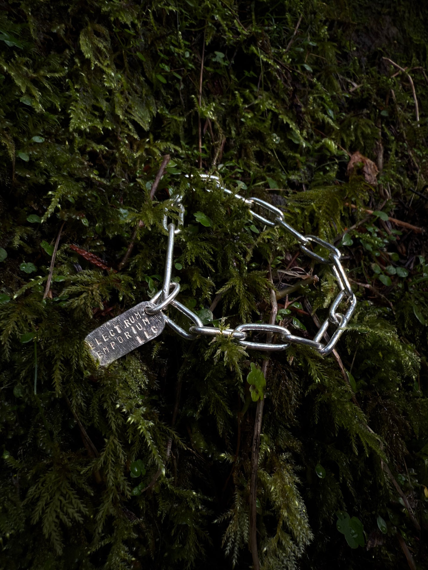 Chain 0019