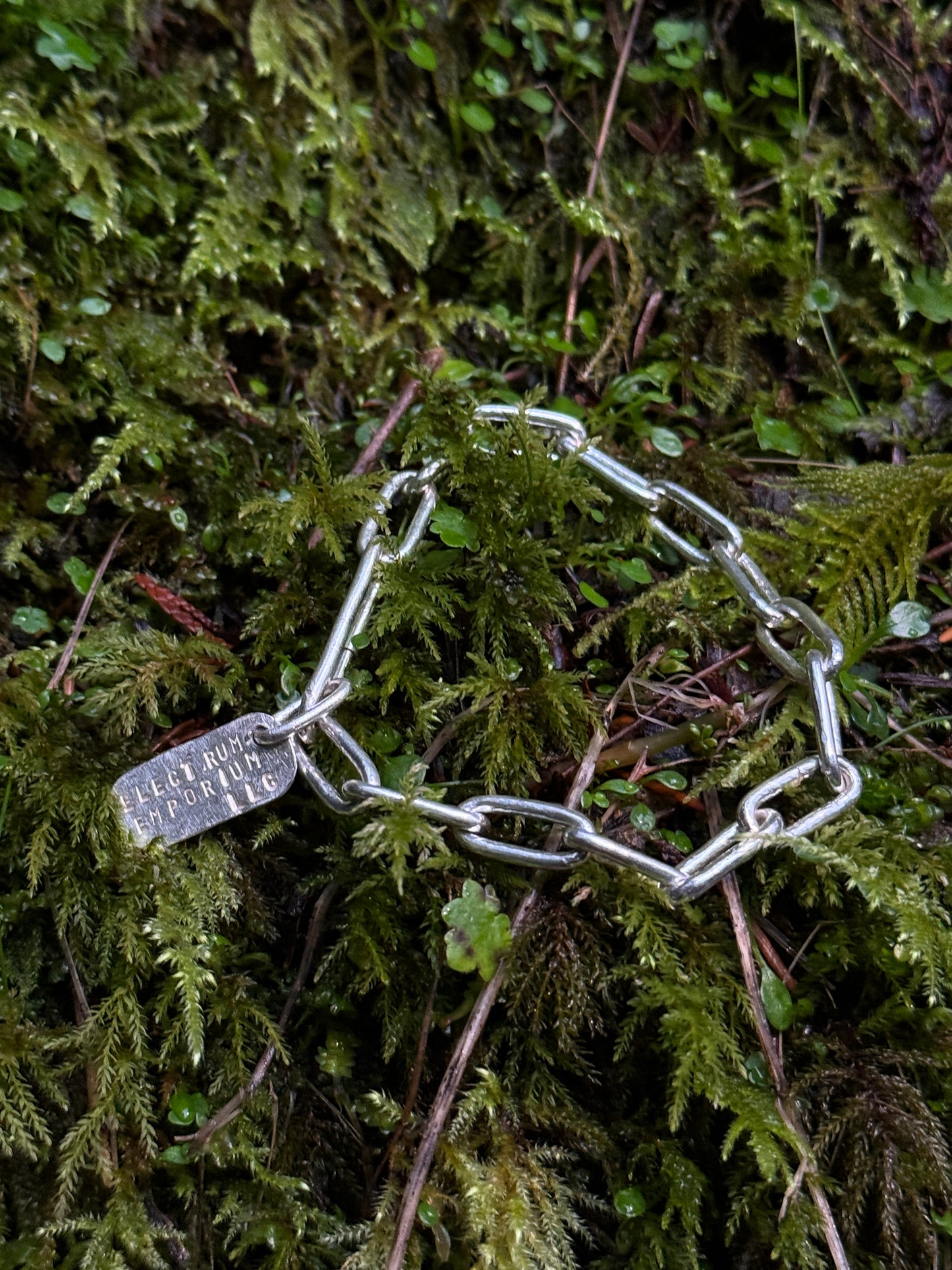 Chain 0019