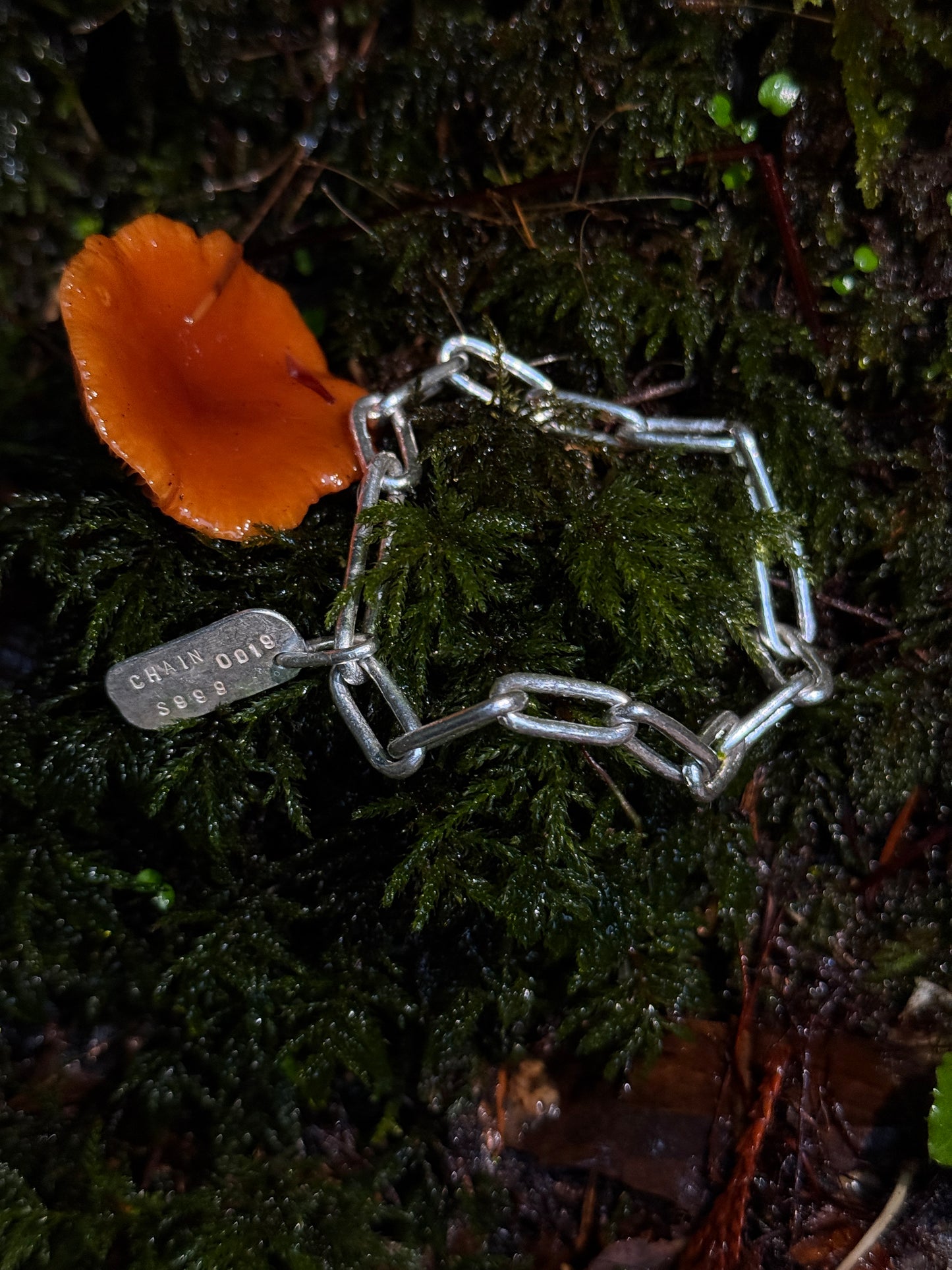 Chain 0019