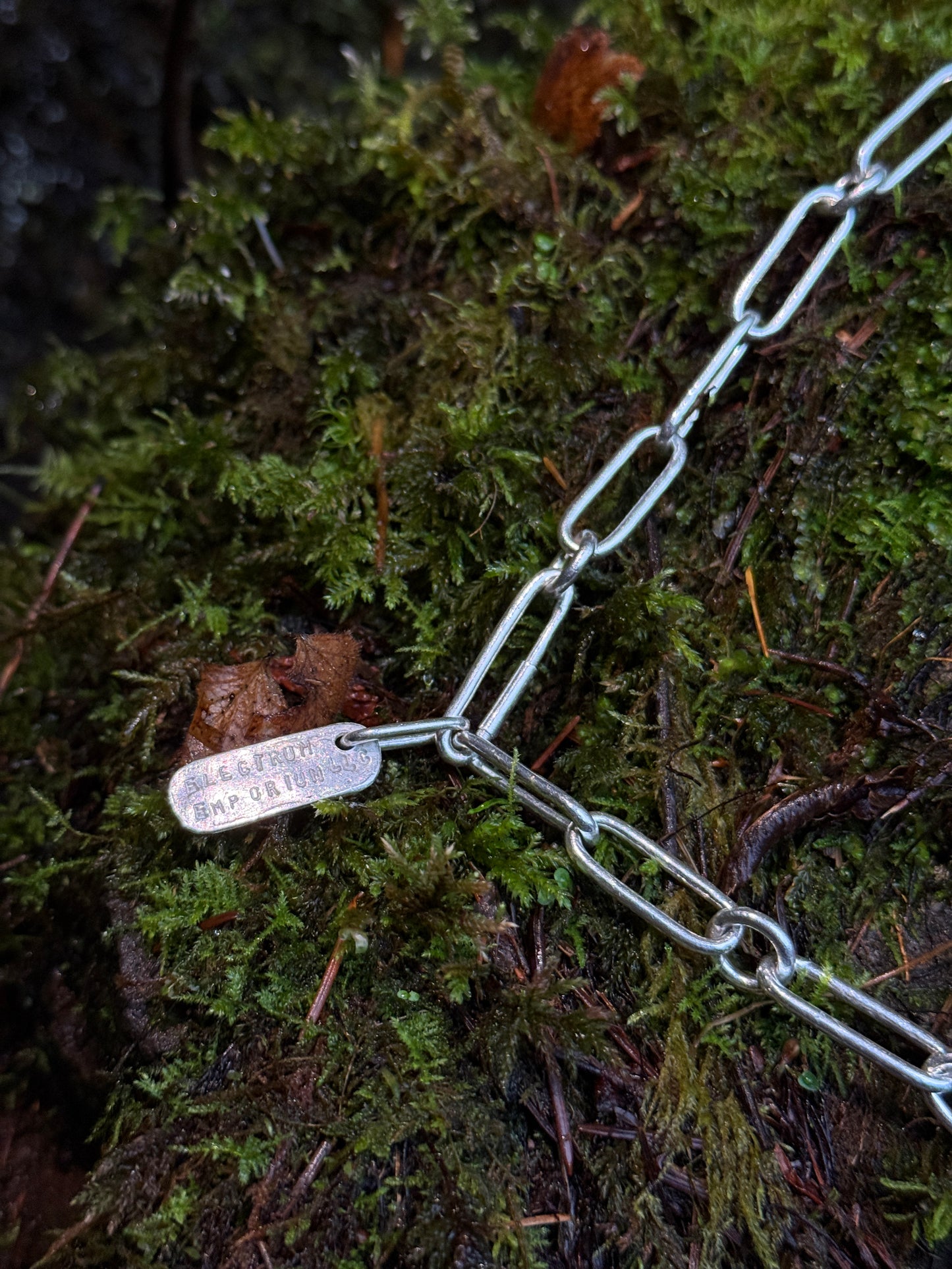 Chain 0020